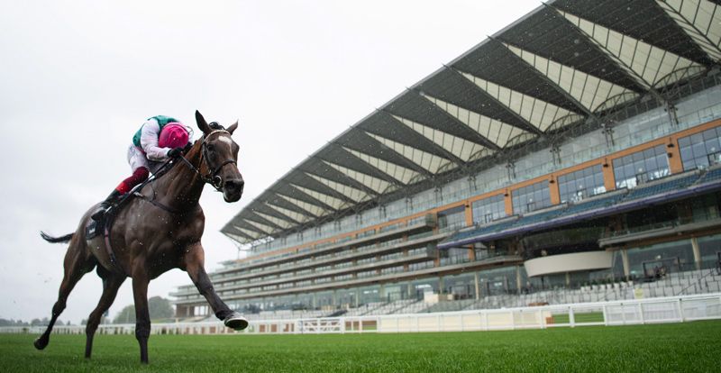 Enable with Frankie Dettori on board