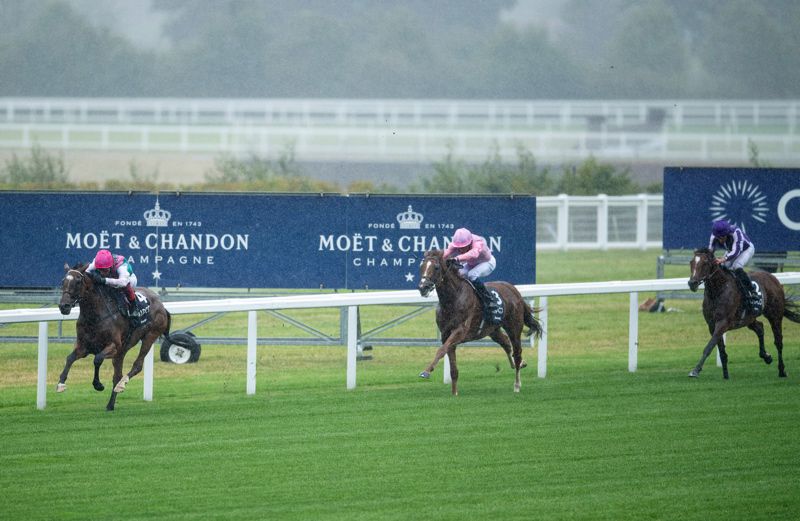             Enable wins her third King George at Ascot