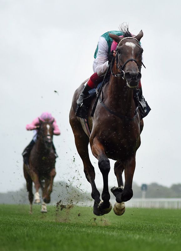 Enable
