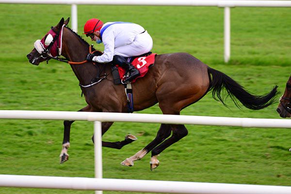             Next In Line and Gavin Ryan 