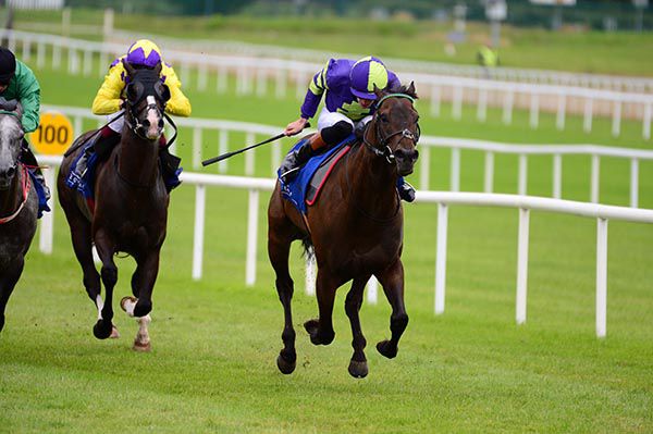 Donagh O'Connor sets sail on Nordic Passage