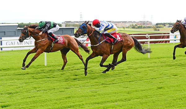 Eastern Racer and Sean Davis (far side) hold Atlas by a head