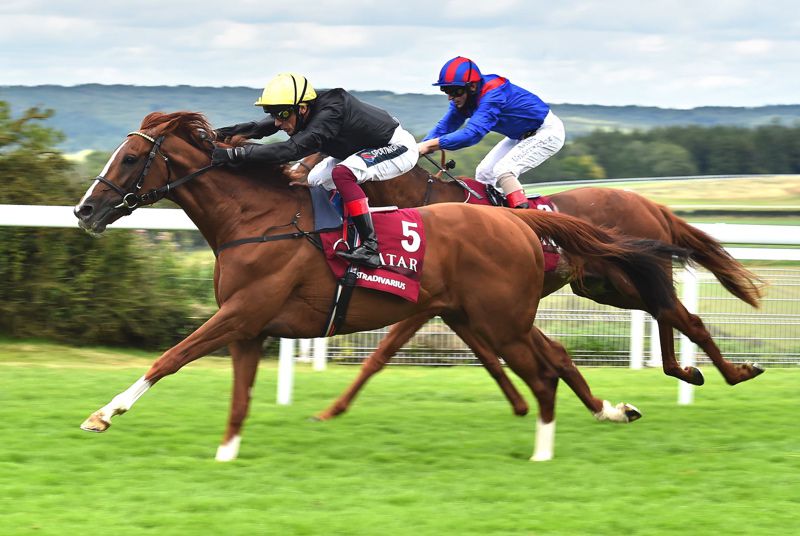 Stradivarius winning his fourth Goodwood Cup last year