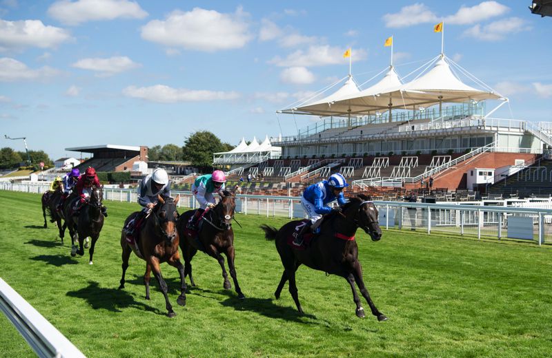 Empty stands at Goodwood this week