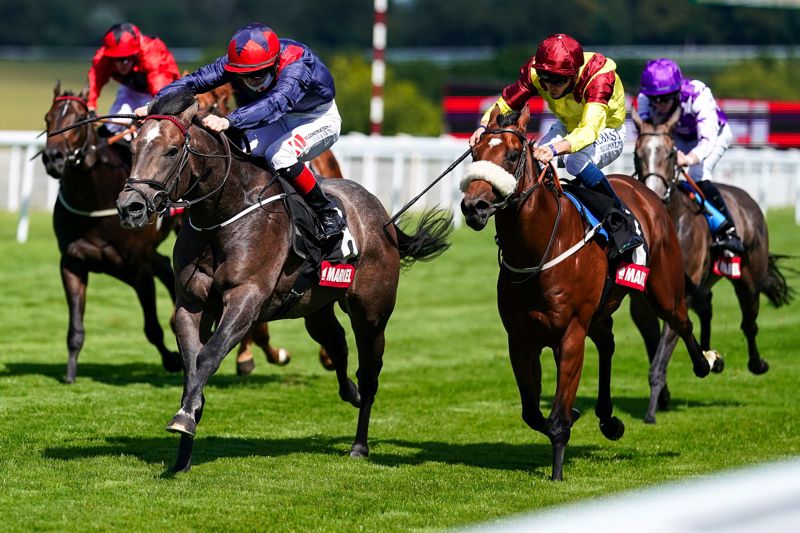 Steel Bull and Colin Keane (blue) win the Molecomb Stakes (Group 3) at Goodwood