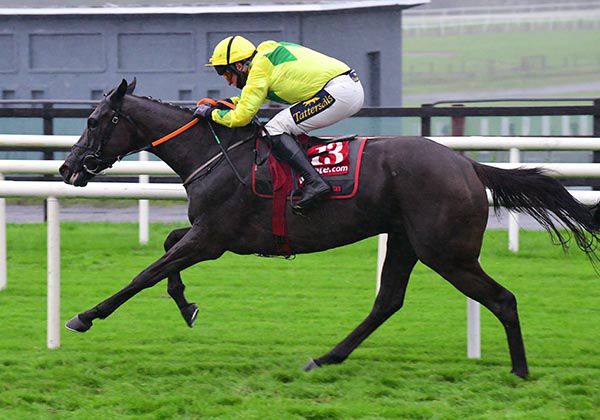 Weseekhimhere and Jamie Codd pictured on their way to victory