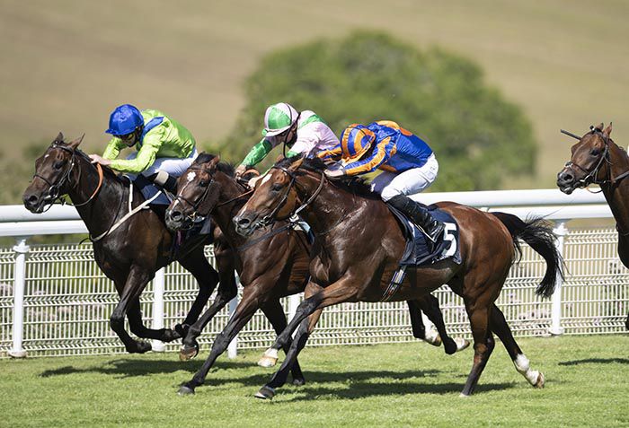Mogul and Ryan Moore (near side) winning the Gordon Stakes from Highland Chief (centre)