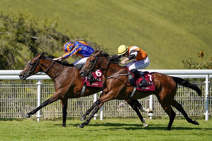Fancy Blue (far side) winning the Qatar Nassau Stakes at Goodwood from One Voice
