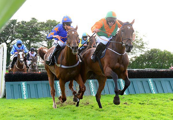 The Trigger and Mark Walsh (left) jump the last  beside eventual third Victoria Bay