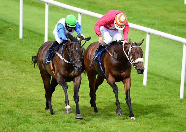 Hell Left Loose (left) won at Naas last year 