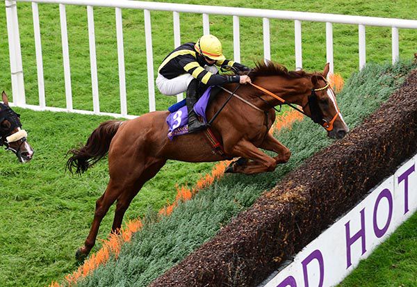 Woodbrook Boy and Conor Orr