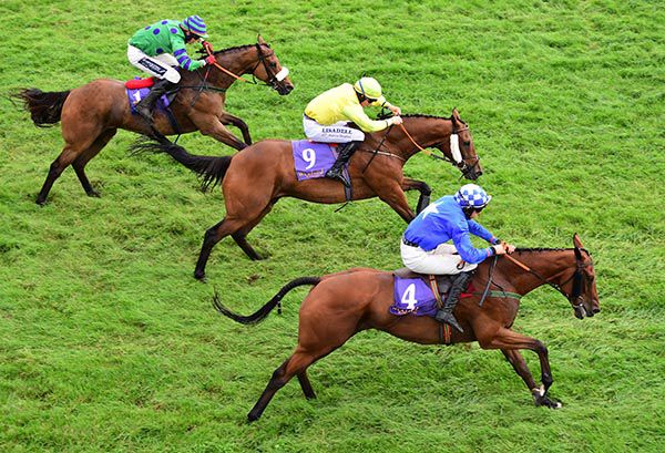 The Broom Squire (centre)