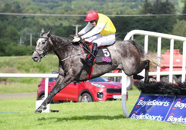 Misty Mountain and Liam McKenna jump the last