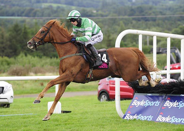 Mr Moondance and Kevin Brouder