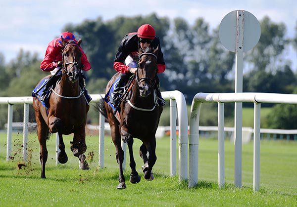 Zephron, red cap, makes the best way home