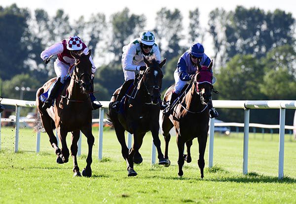 Place Des Vosges, centre, wins a thriller