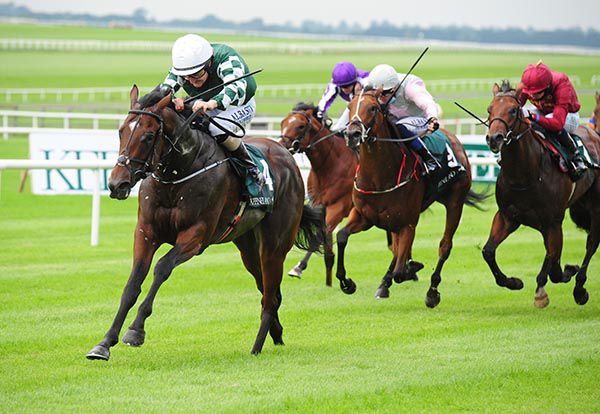 Aloha Star (pink) and The Lir Jet (right) were second and third past the post in the Phoenix Stakes