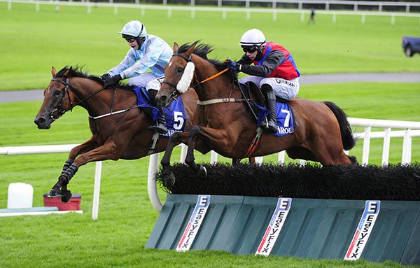 Winner Little Brother (near side) jumps the last upsides runner-up Calidus Mirabilis