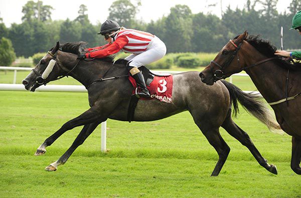 Lord Rapscallion and Nikita Kane win from Baraniya