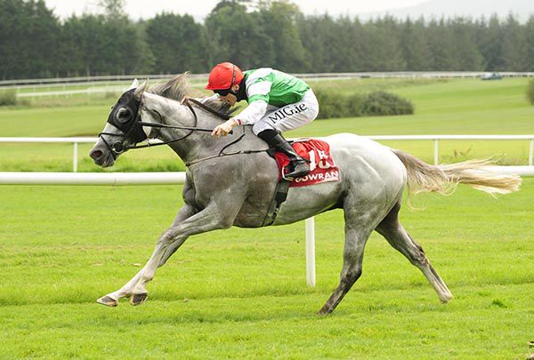                Springbank and Gary Halpin 