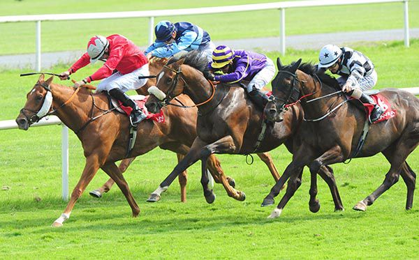 Jungle Jungle and Seamus Heffernan (noseband) come through to beat Han Solo (red)