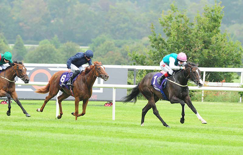 Angel Palm (Colin Keane) accounts for Friendly (Seamie Heffernan) and Harannda (Oisin Orr)