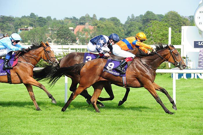 Lampetia wins under Mikey Sheehy