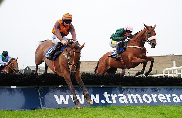 Trees Valley, near side, beats Lady Rocco