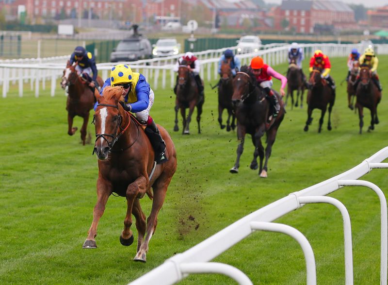 Easy Newbury winner Dream Of Dreams is a leading fancy for Saturday's Betfair Sprint Cup