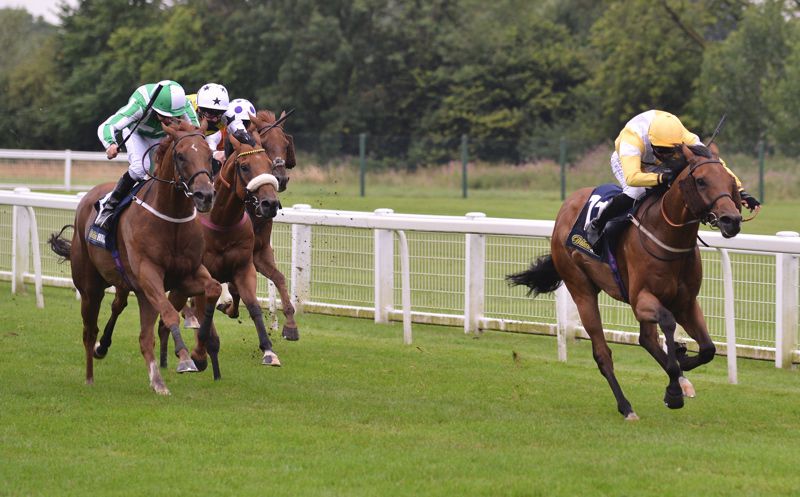 Ripon action