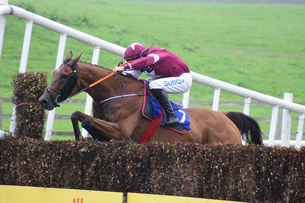 Young Turk jumps the last under Sean O'Keeffe