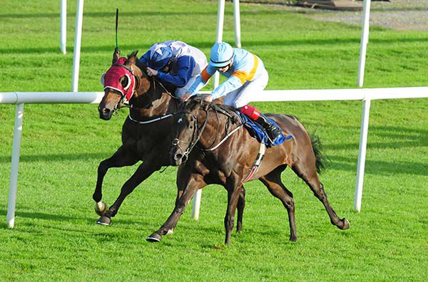 Millford Sound, far side, gets up to win by a nose