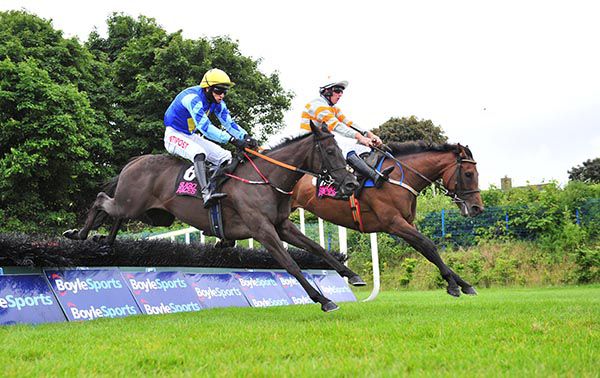 Shewearsitwell and Paul Townend (far-side) lead Bonarc and Danny Mullins home