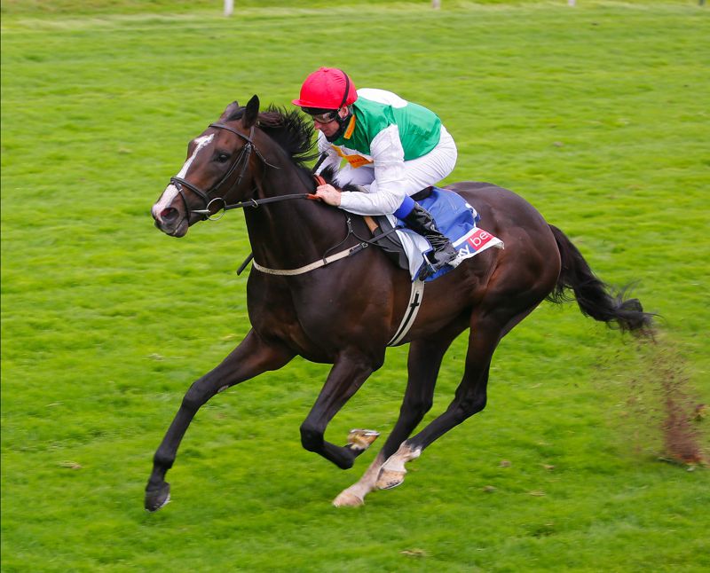 Pyledriver and Martin Dwyer