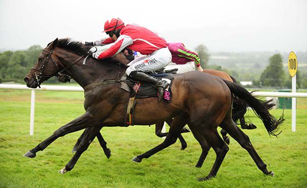 Staging Post is sent for home by John Barry