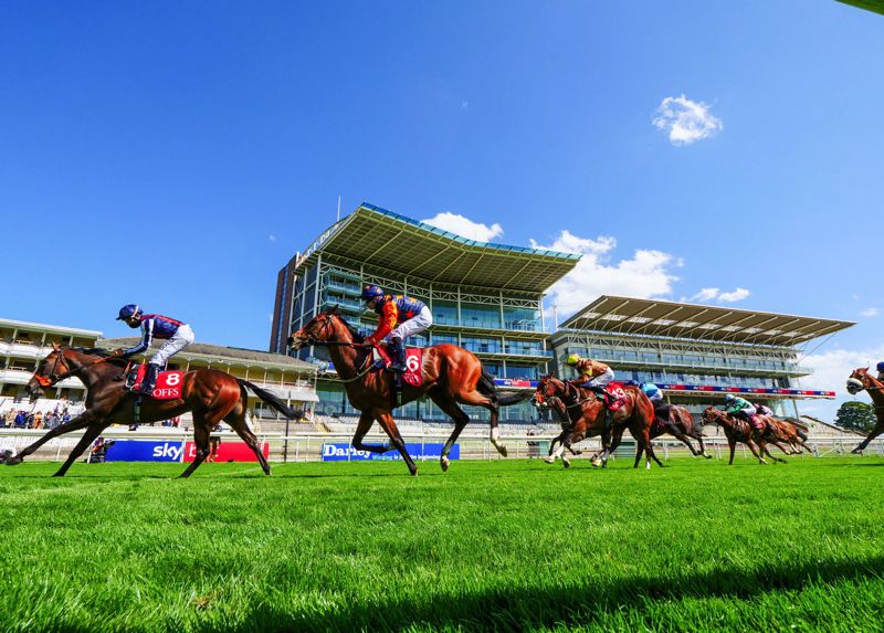 Happy Romance (left) winning at York last week
