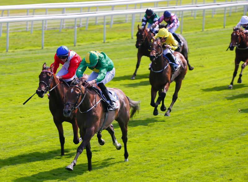 Miss Amulet beating Sacred in the Lowther Stakes at York