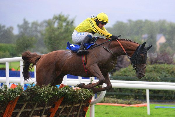 Buildmeupbuttercup negotiates the final flight