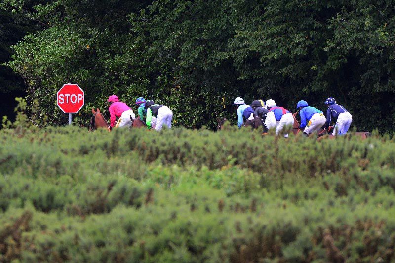 Racing at Bellewstown