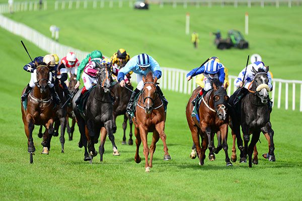 Half Nutz, centre, unleashes his challenge