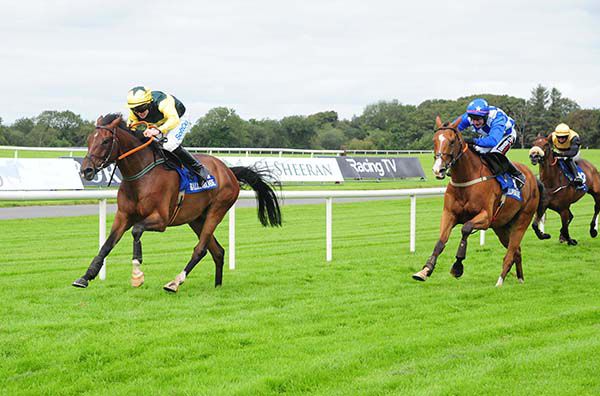 Dave And Bernie and Sean O'Keeffe (left) win from Resurrected Duke (blue)