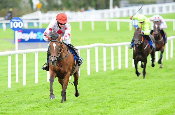 No Memory is clear under Ambrose McCurtin