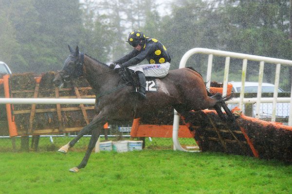 Serpolette and Denis O Regan jump the last