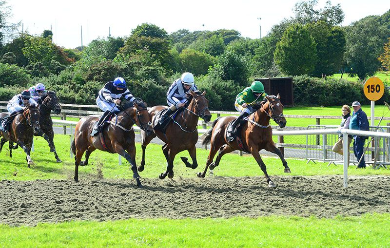 Lady Princess (green) leads home Provocateuse (white cap) and Grammata 