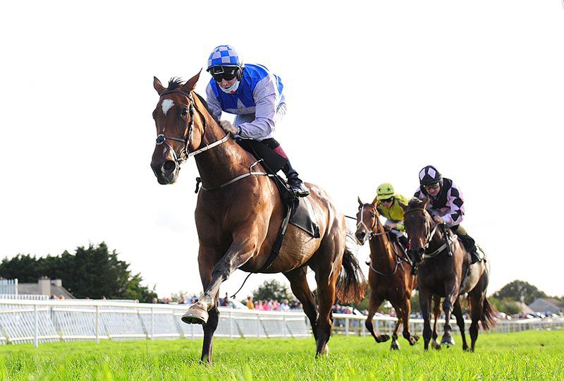 Misty Millie leads home her rivals under Colin Keane