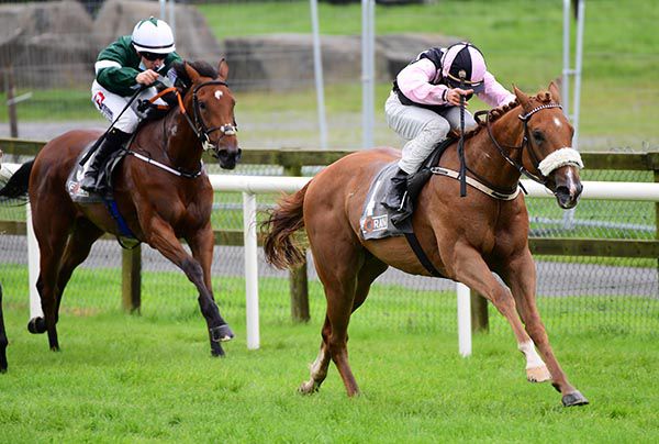 Livingston Range and Ronan Whelan (noseband) race clear of eventual third Zoom Call