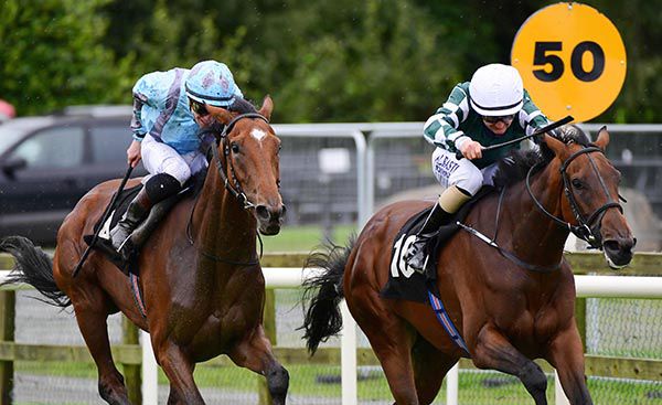 Golddragon Reef and Shane Foley (right) win from Druid's Altar