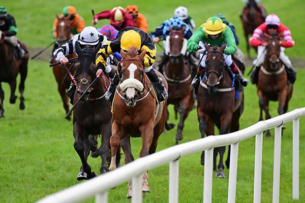 Dromod Lad and Mark Gallagher (noseband) win from Blankiedoodie (black and white)