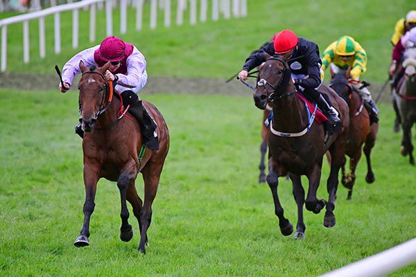 Scarlet Seymour and Shane Crosse (left) outstay eventual third Adapt To Dan