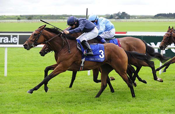 Divinely and Wayne Lordan (near side) win from Ahandfulofsummers